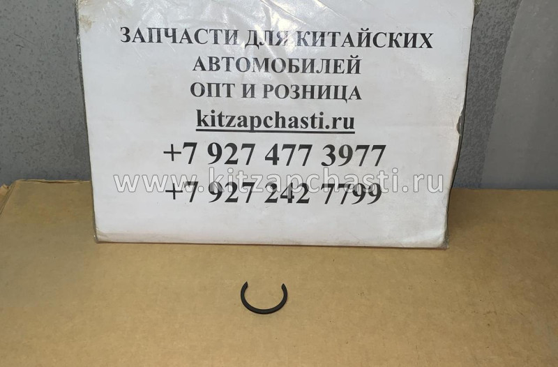 ДЕРЖАТЕЛЬ УПОРНОЙ ШАЙБЫ Geely Emgrand 3170104601